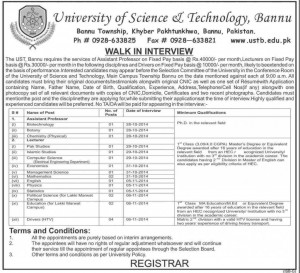 Assistant professor job