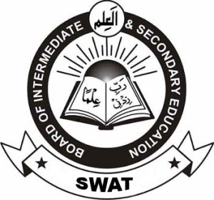 Bise-Swat Board
